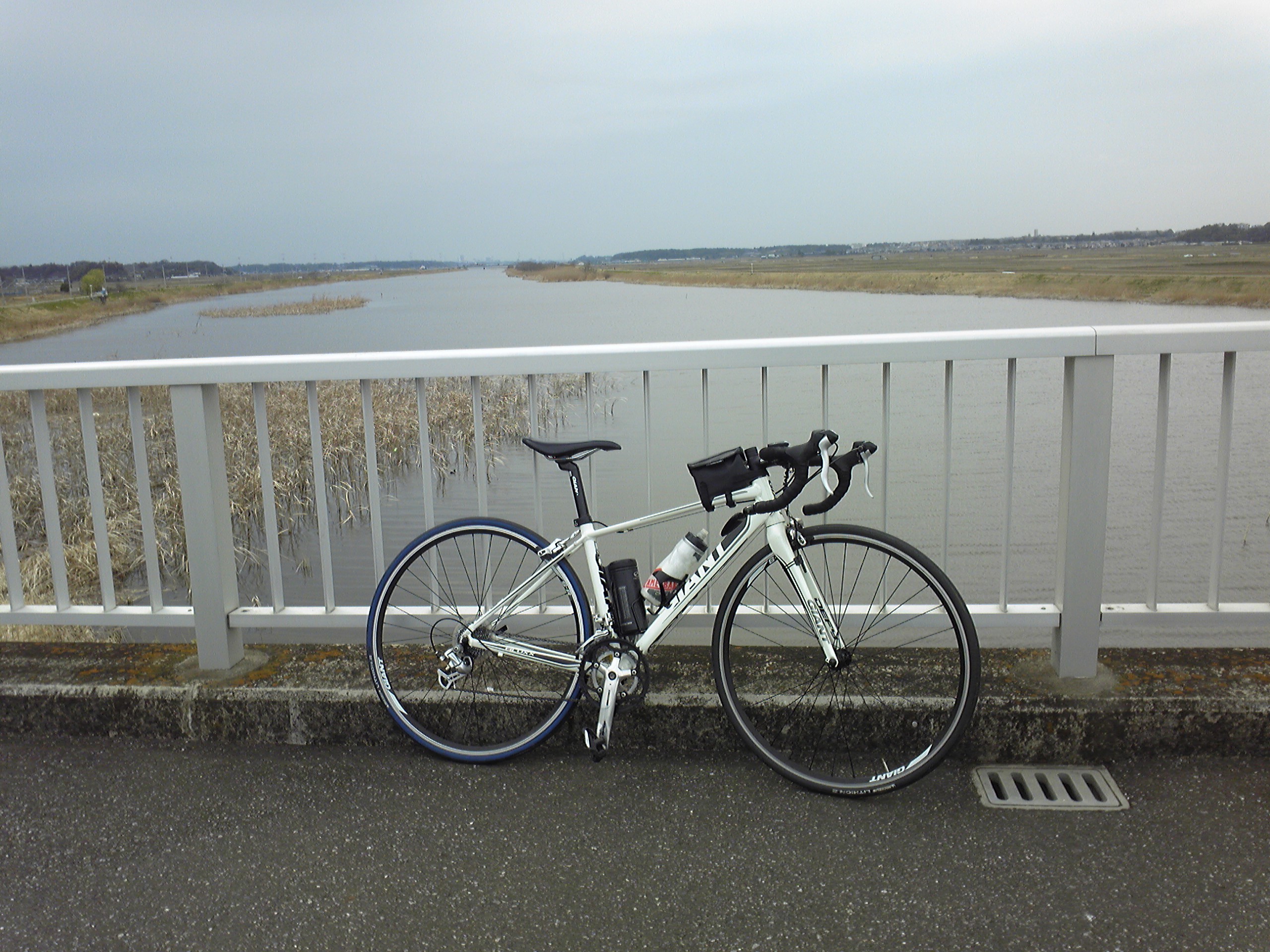 手賀沼 | 貧脚オジサンのロードバイク日記│自転車ブログ～GIANT DEFY～