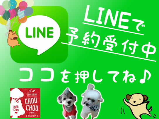 ブログ Dog Salon Chou Chou