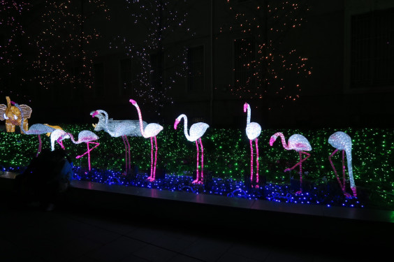 天王寺動物園のイルミネーション 銀塩カメラを持って寄り道