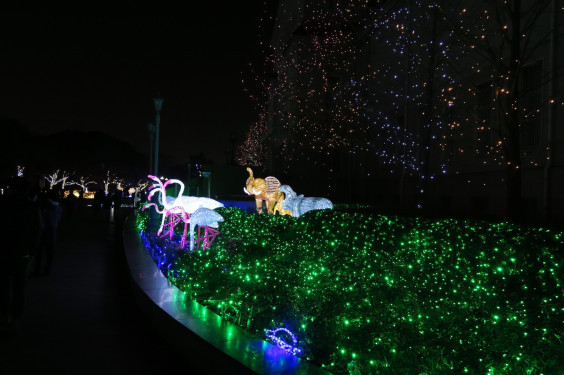 天王寺動物園のイルミネーション 銀塩カメラを持って寄り道