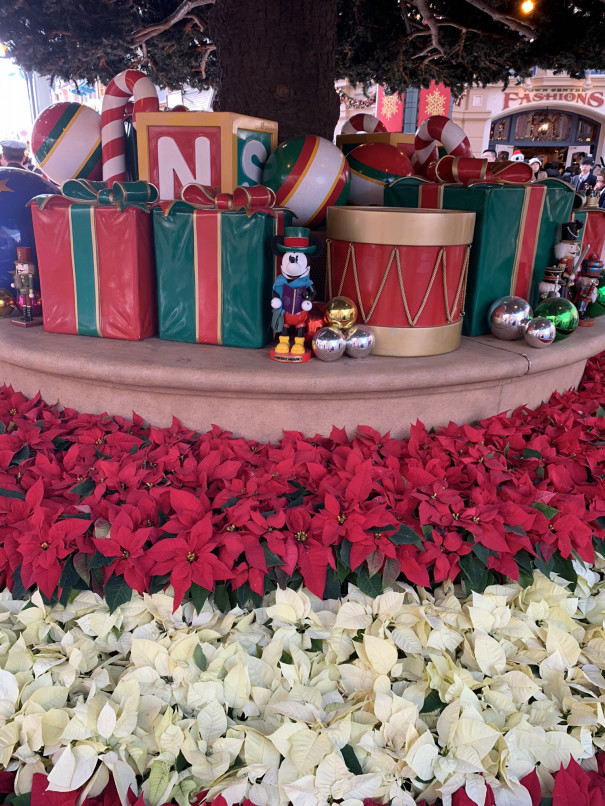 ディズニーランドでクリスマスイブ Lomilomi Kai Nui ディズニーランドでクリスマスイブ Lomilomi Kai Nui
