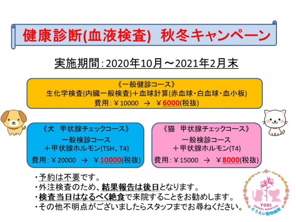 血液検査キャンペーンのお知らせ とうえい動物病院