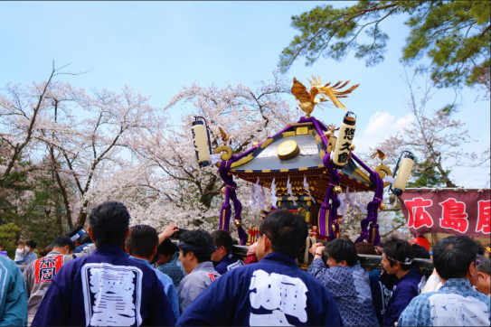 悠久山公園 青空の下 桜と神輿と N N Tak Pic S