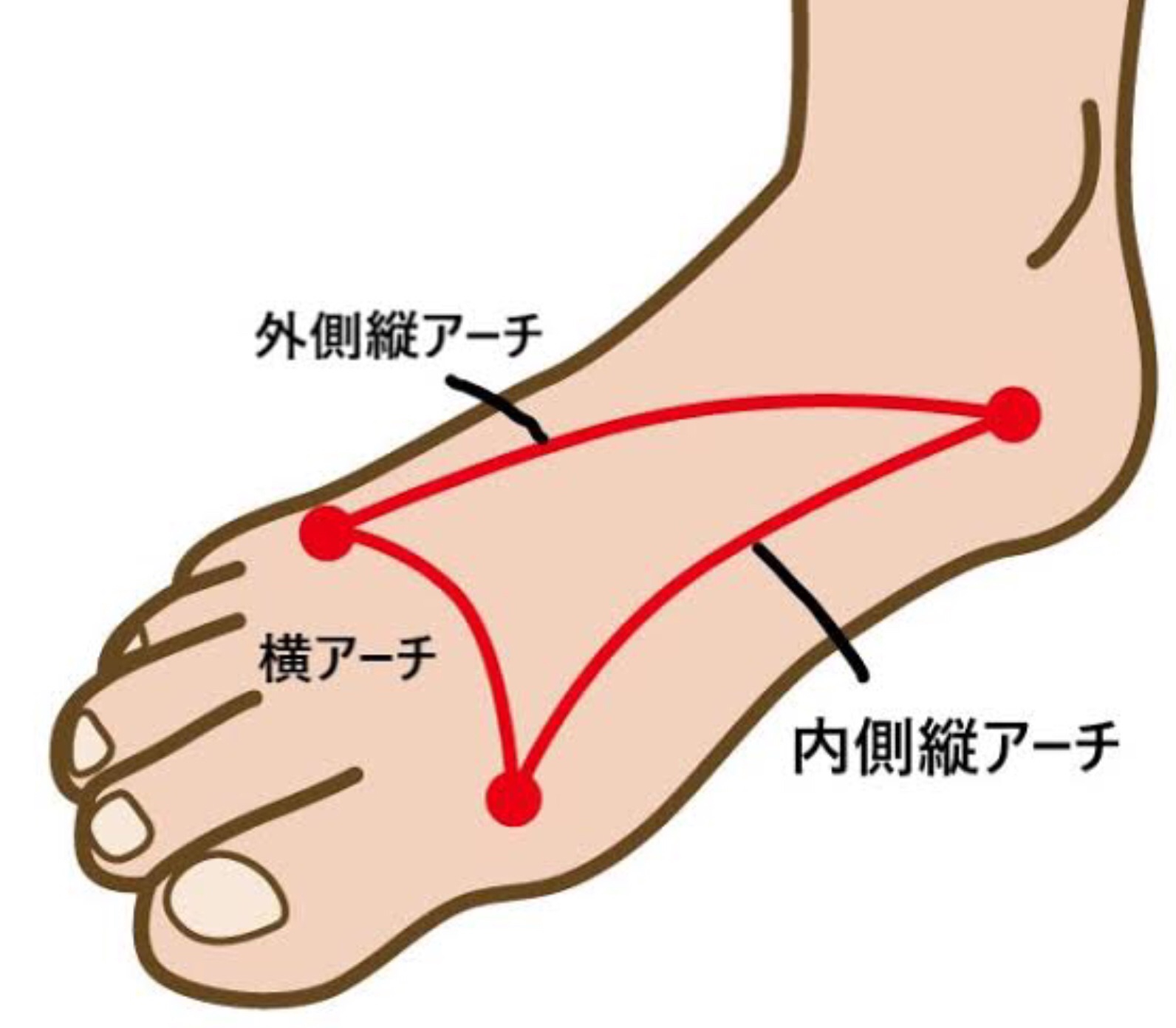 外側縦アーチ | Fit Insole