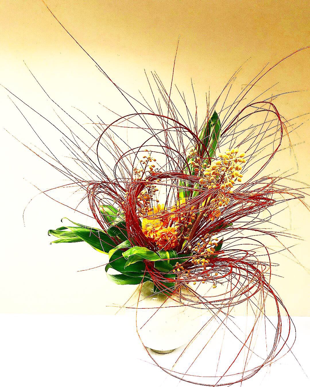 5637d03195da16e4049e333ac69465