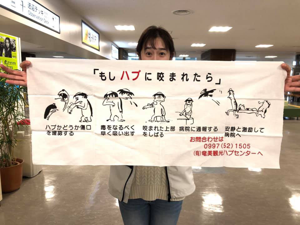 奄美大島ヨット旅の記録 矢口あやはの仕事と日記 奄美大島ヨット旅の記録 矢口あやはの仕事と日記