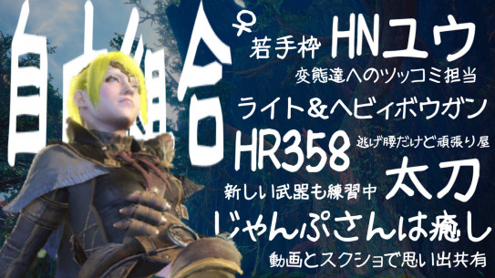 ハンター自己紹介カード Mhwサークル 自由組合