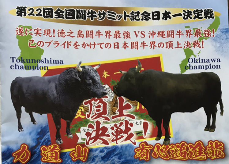 頂上決戦 力道山vs有心邁進龍 うしとろし