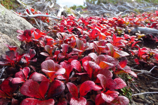 搾乳した量と 飲まれる量 まんまる助産院 出張訪問の母乳相談室