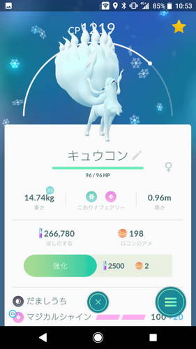 アローラキュウコン ゲット かめぞうの冒険 アローラキュウコン ゲット かめぞうの冒険