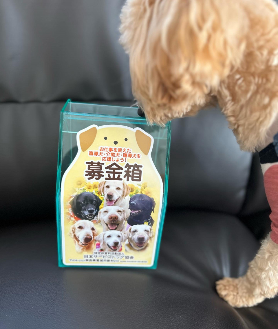 募金箱設置のお知らせ🐾 | 犬と人のハーブ教室『薬草Labo ハイルクラオト』