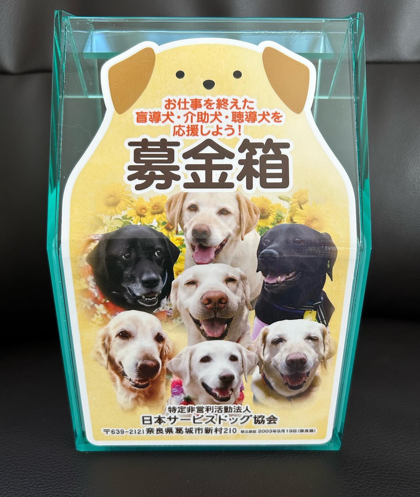 募金箱設置のお知らせ🐾 | 犬と人のハーブ教室『薬草Labo ハイルクラオト』