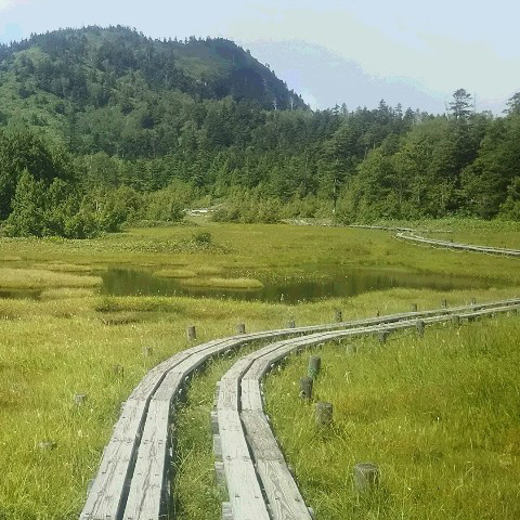 志賀高原志賀山から四十八池巡りと岩菅山 黒稜山岳会