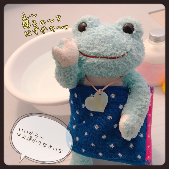 カエルのピクルス ぬいぐるみ専用シャンプー モフリー あみゃの箱庭