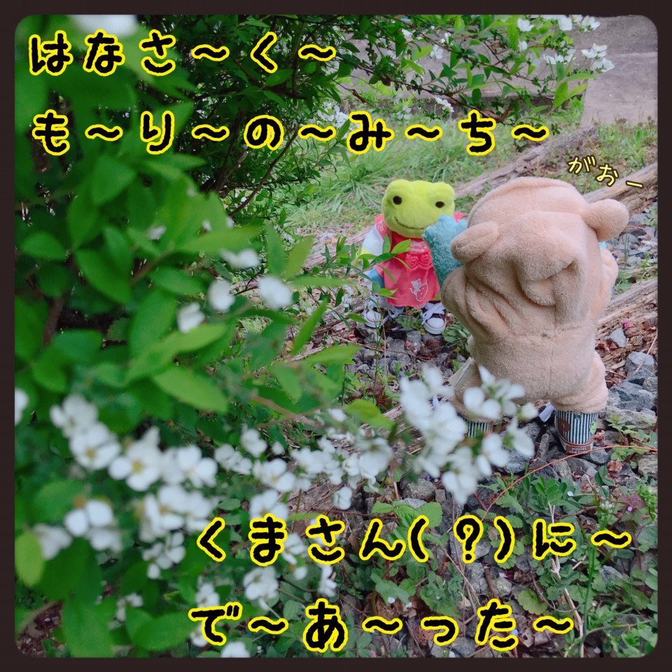 カエルのピクルス ぬい撮り あみゃの箱庭 カエルのピクルス ぬい撮り あみゃの箱庭