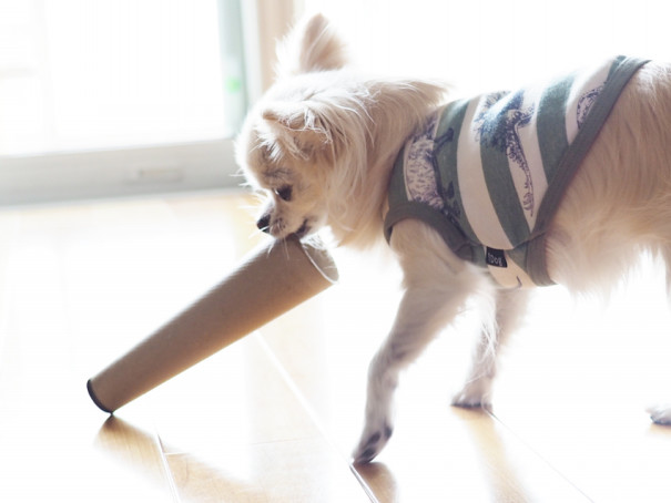 春ですねえ やりたいこと Chiguのアトリエ自由帳