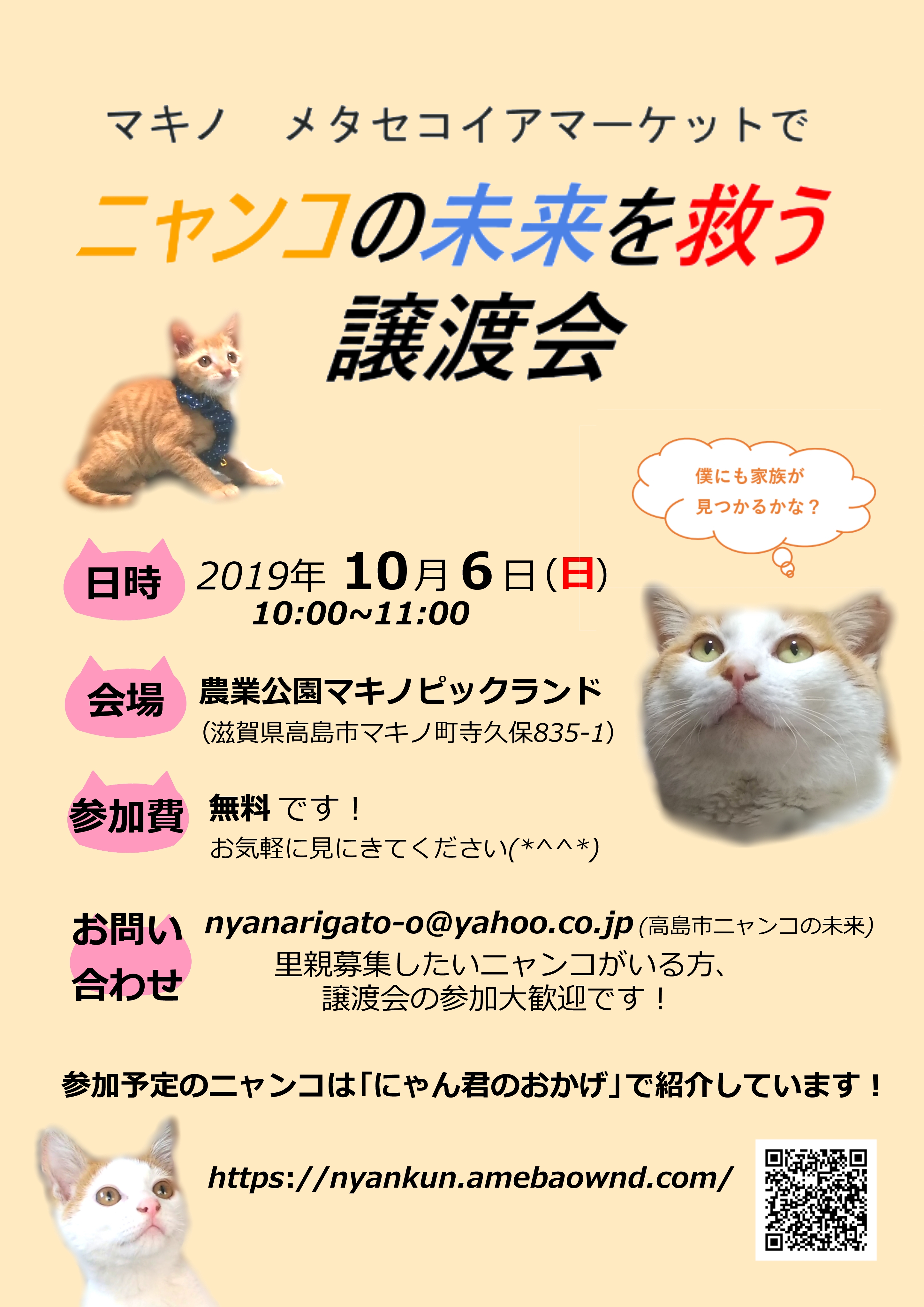 10月6日 譲渡会を開催します にゃん君のおかげ 10月6日 譲渡会を開催します にゃん君のおかげ