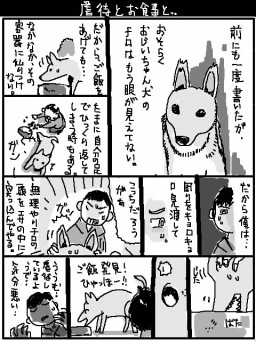 動物 １ページな日々