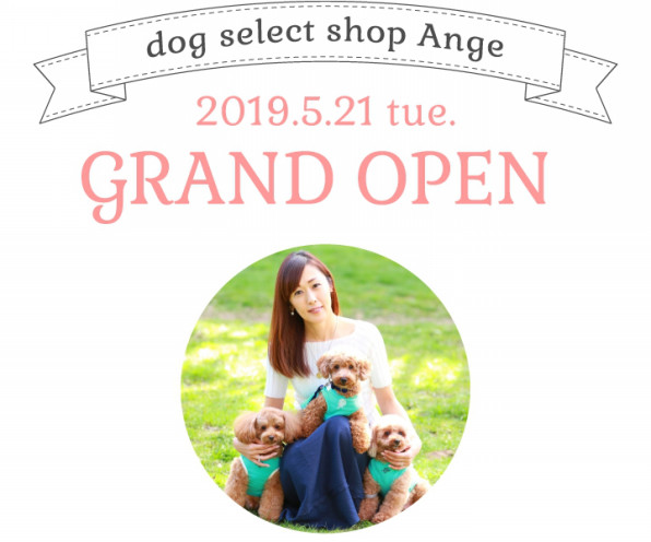札幌中央区の犬 ドッグセレクトショップ Ange アンジュ