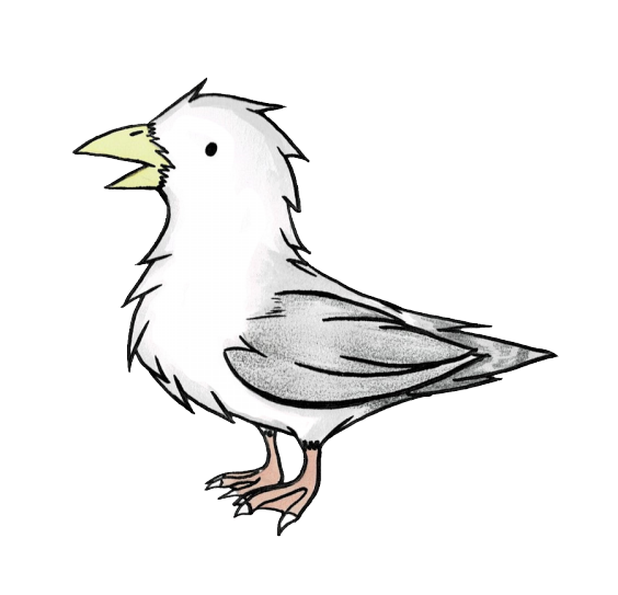 ぜいたくかっこいい 飛ぶ 鳥 イラスト 動物ゾーン