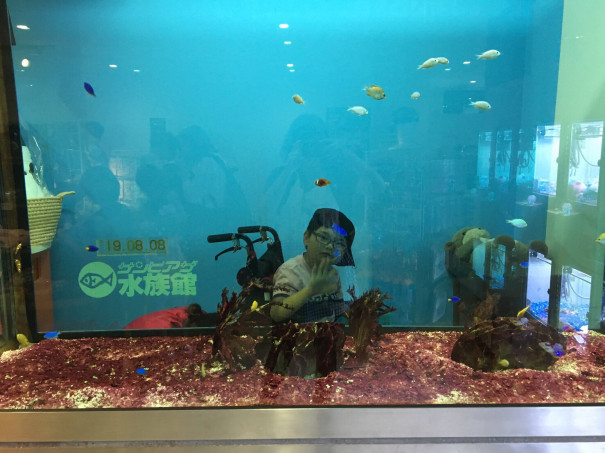 ここうぇる夏休み サンピアザ水族館 重心児デイサービス ここうぇる