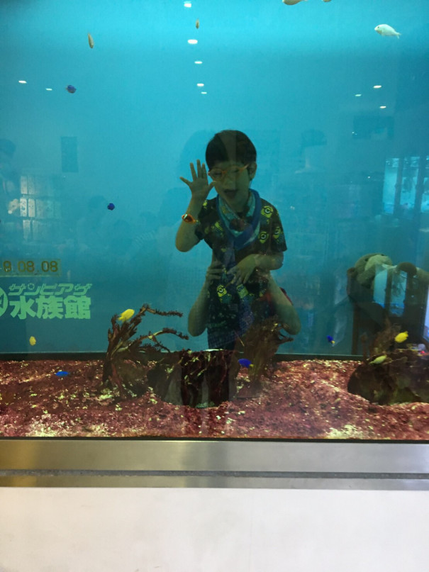 ここうぇる夏休み サンピアザ水族館 重心児デイサービス ここうぇる