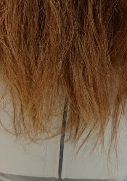 髪質改善】ボロボロの髪から5回目の施術 | 美容室 Ash 大泉学園店 ブログ
