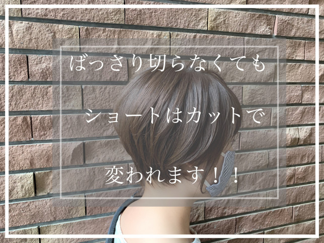 ばっさり切らなくてもショートは変われる 横顔美人の秘訣とは Ash大泉学園店 ブログ