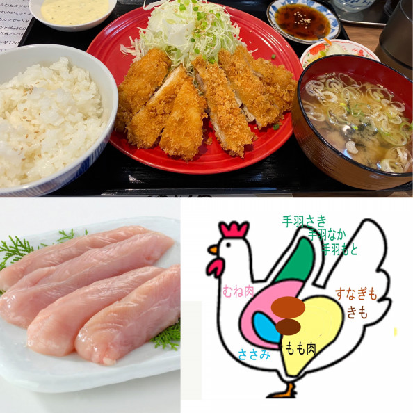 ささみの栄養価について とりかつ たるたる 金いろ