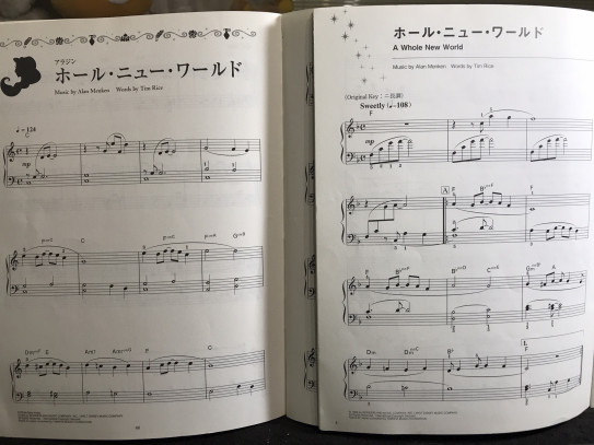 適格 寄託 前兆 ピアノ ホール ニュー ワールド Okunacakkitap Com