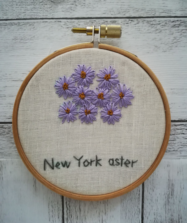 ユウゼンギク New York Aster A K Stitch
