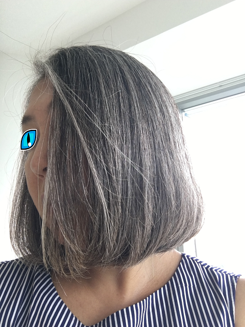 グレイヘアー完成 モンスーンに吹かれて Living In Singapore グレイヘアー完成 モンスーンに吹かれて Living In Singapore
