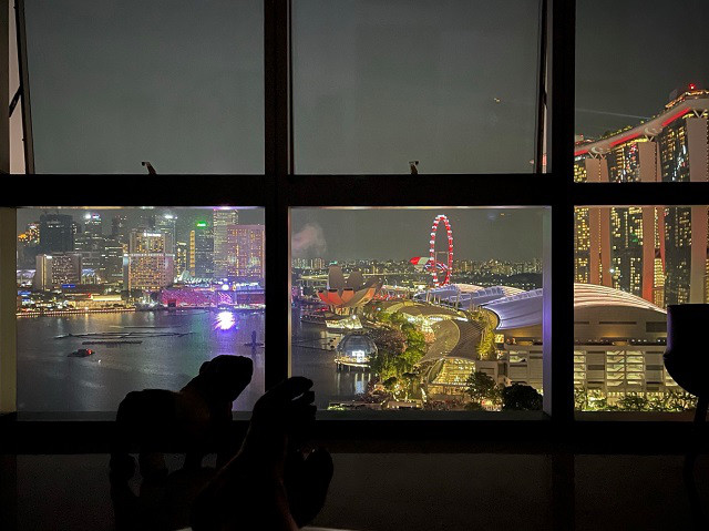 特等席から見るナショナルデーの花火22 モンスーンに吹かれて Living In Singapore