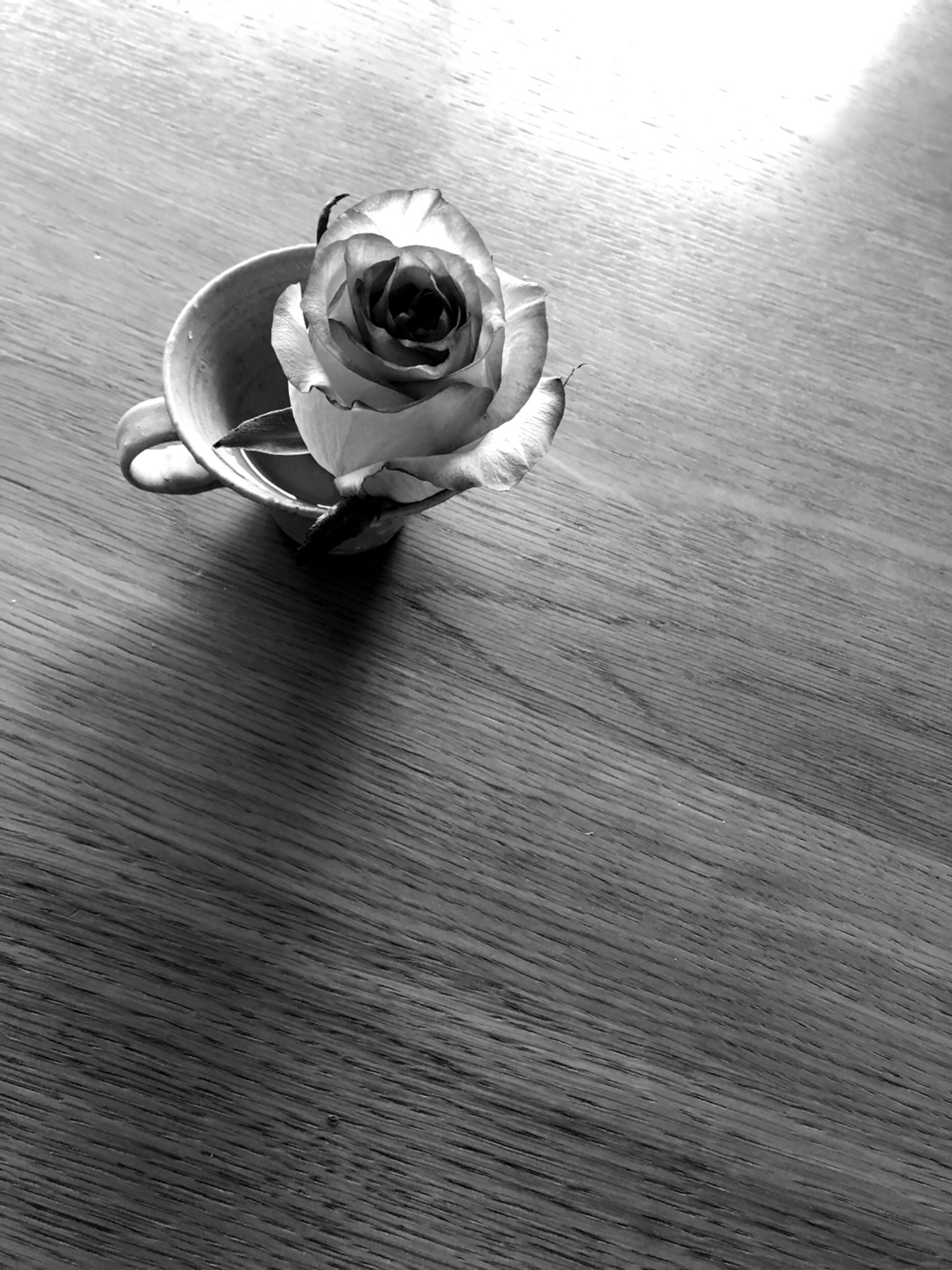 不安の未来予測 Aoi Amano official site