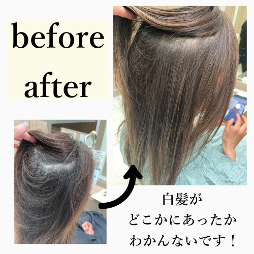 立川 白髪染めハイライト 美容室 Ash 立川店 ブログ