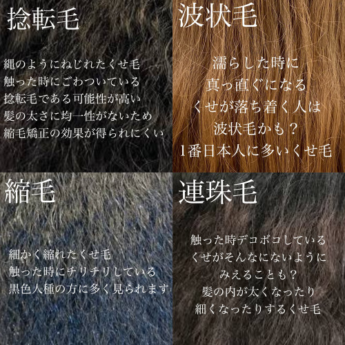 1分でわかるくせ毛診断 美容室 Ash 銀座 ブログ 1分でわかるくせ毛診断 美容室 Ash 銀座 ブログ