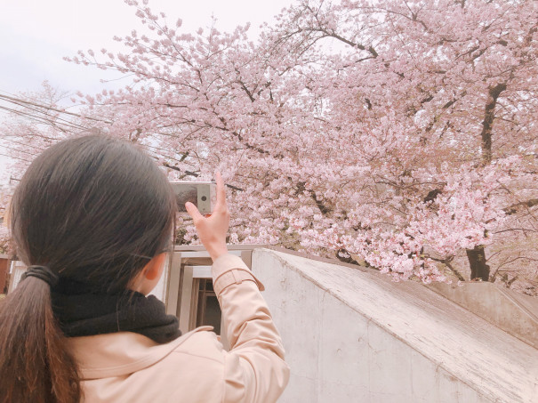 河口恭吾 桜 ひろ