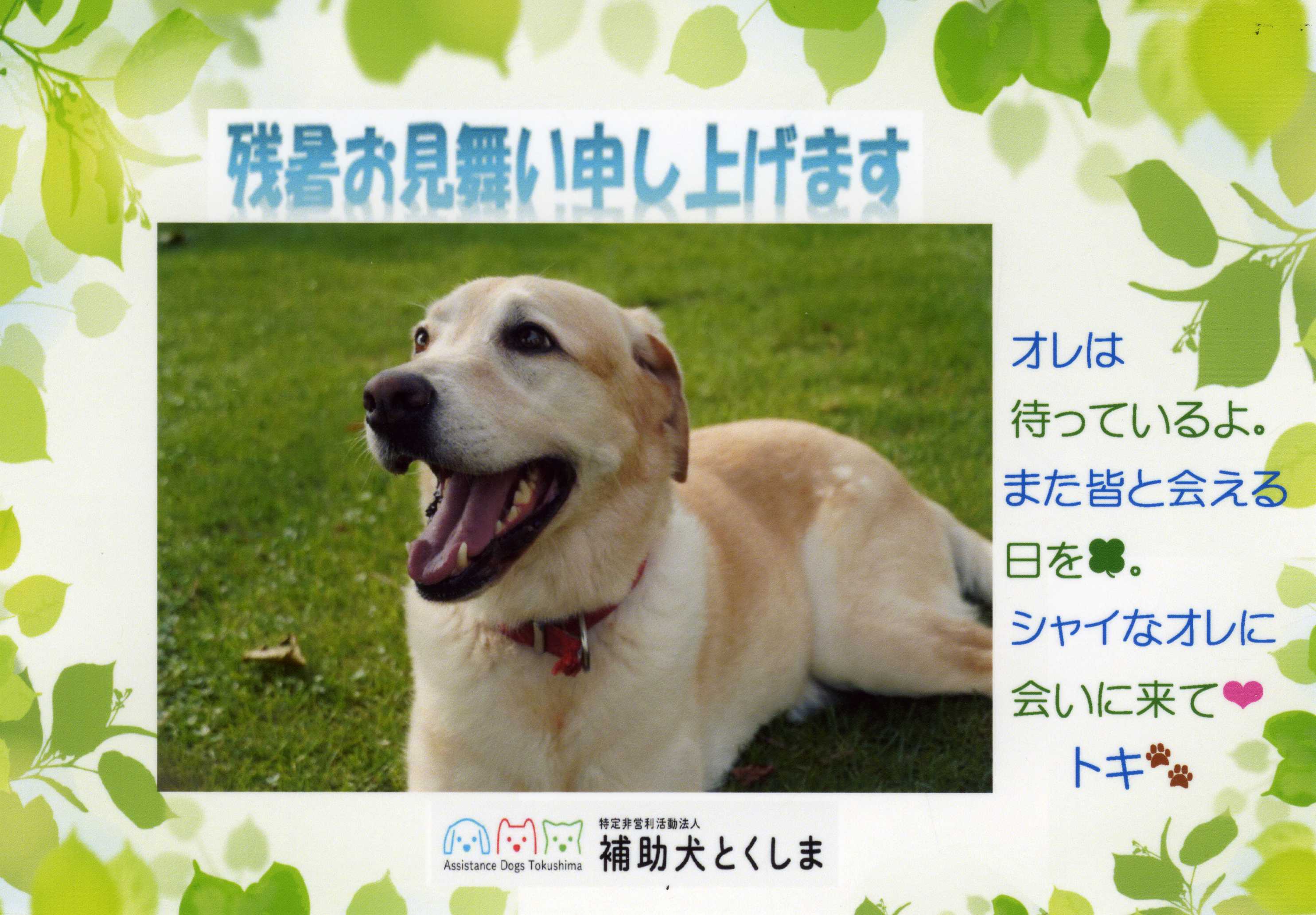 イケメントリオ から こんにちは Npo法人 補助犬とくしま