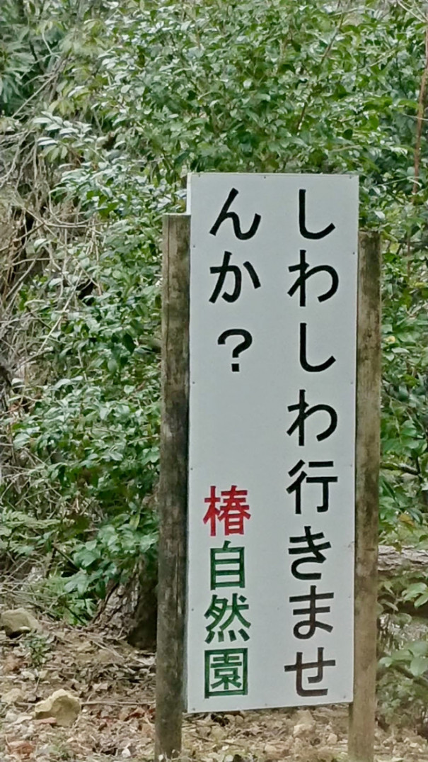 補助犬とくしま 花だより 椿自然園編 Npo法人 補助犬とくしま