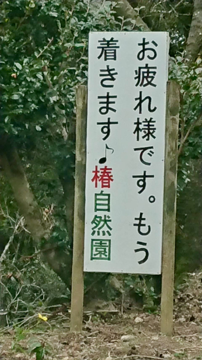 補助犬とくしま 花だより 椿自然園編 Npo法人 補助犬とくしま