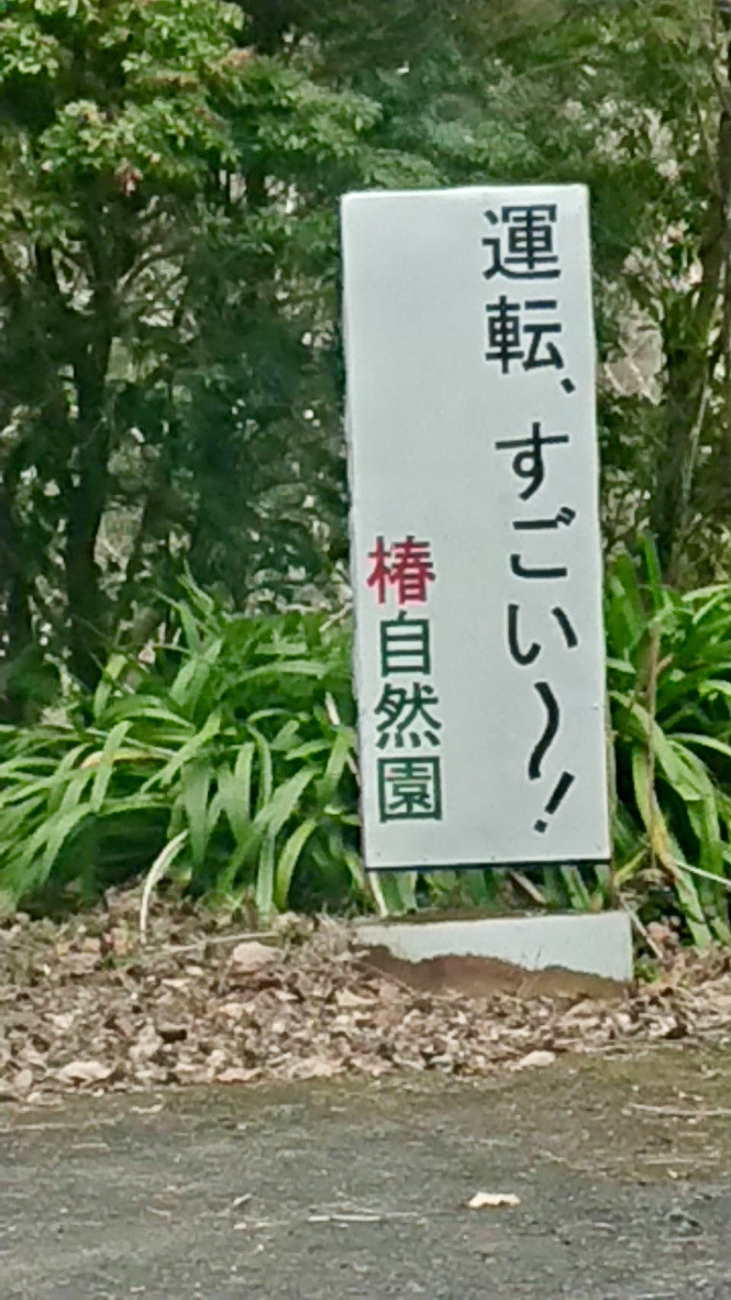 補助犬とくしま 花だより 椿自然園編 Npo法人 補助犬とくしま 補助犬とくしま 花だより 椿自然園編 Npo法人 補助犬とくしま