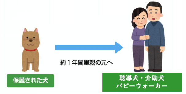 補助犬を育てるパピーウォーカー募集 Npo法人 補助犬とくしま 補助犬を育てるパピーウォーカー募集 Npo法人 補助犬とくしま