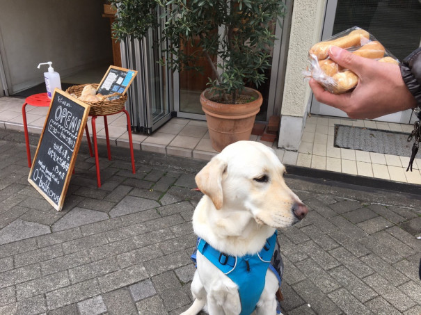 ライナスのnice ライフ Npo法人 補助犬とくしま