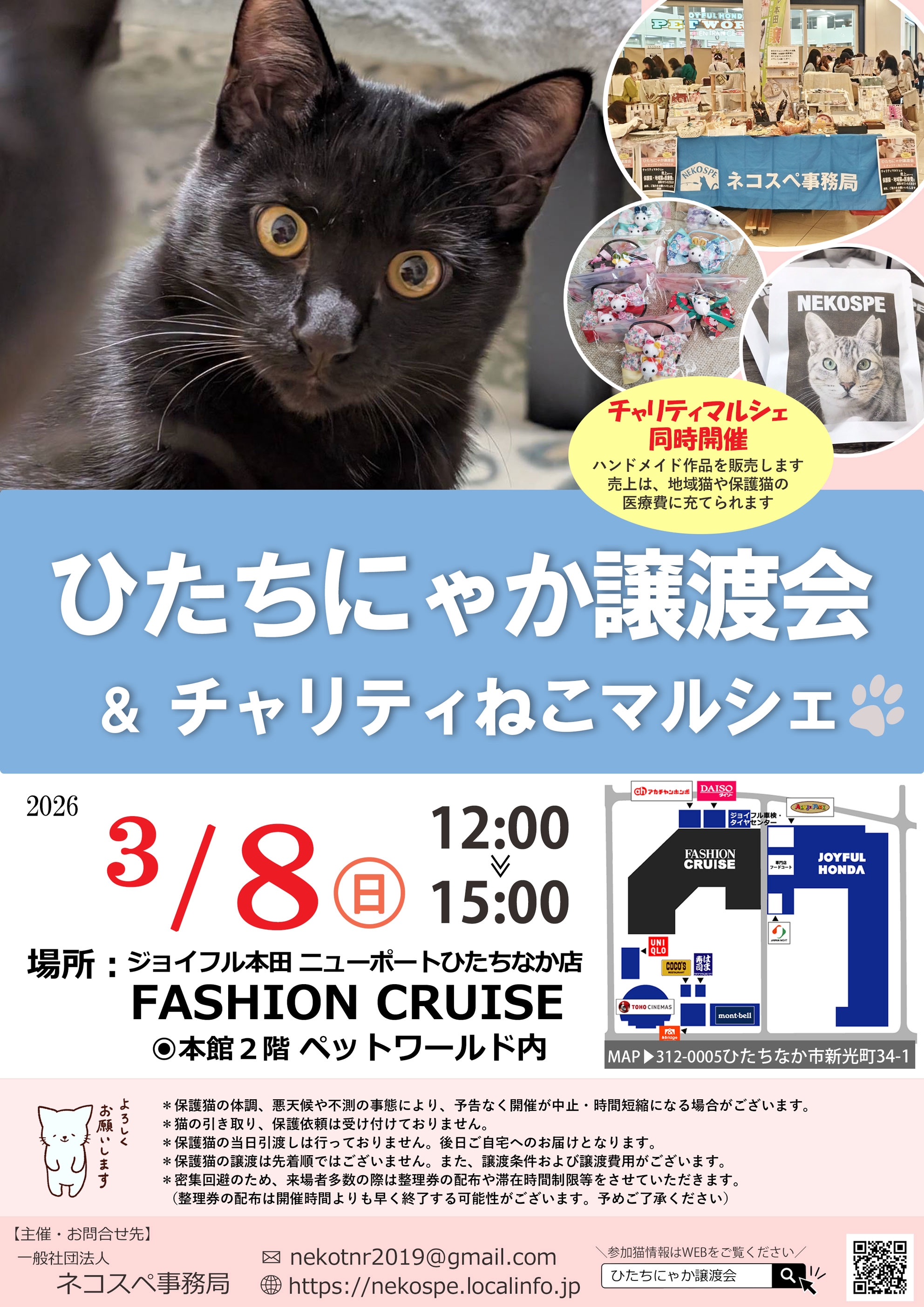 ネコスペ事務局