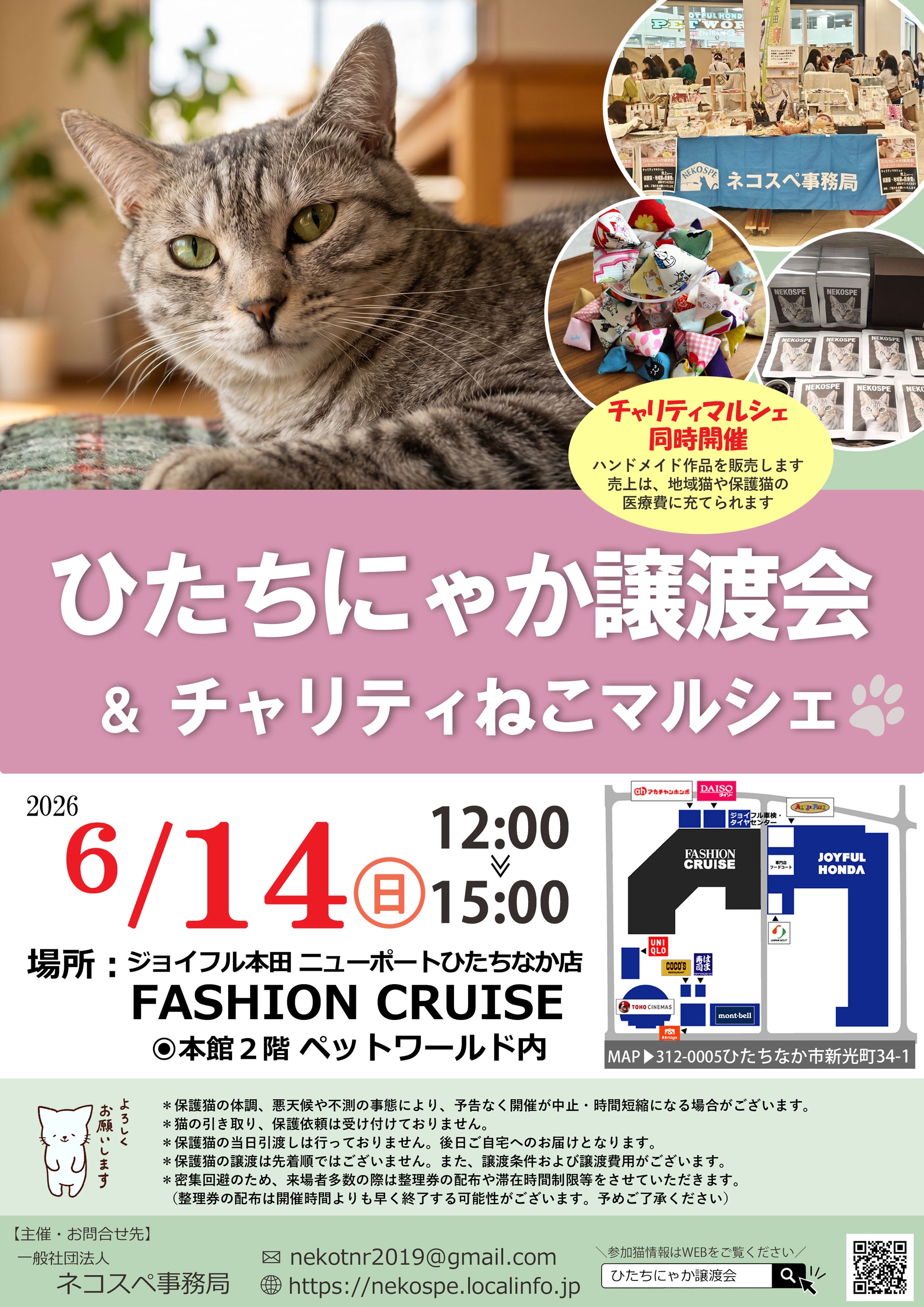 ひたちにゃか譲渡会 | ネコスペ事務局 ひたちにゃか譲渡会 | ネコスペ事務局
