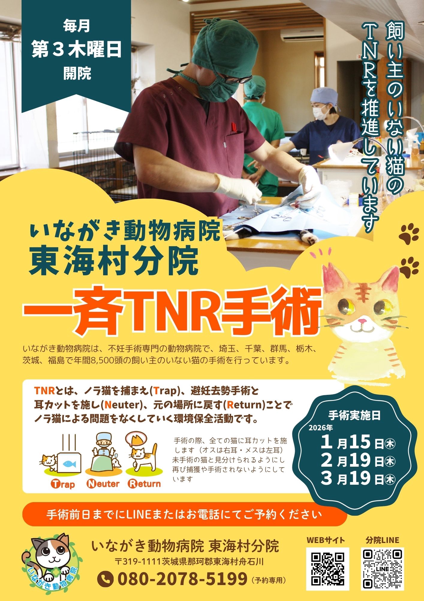 東海村一斉TNR手術 | ネコスペ事務局 東海村一斉TNR手術 | ネコスペ事務局