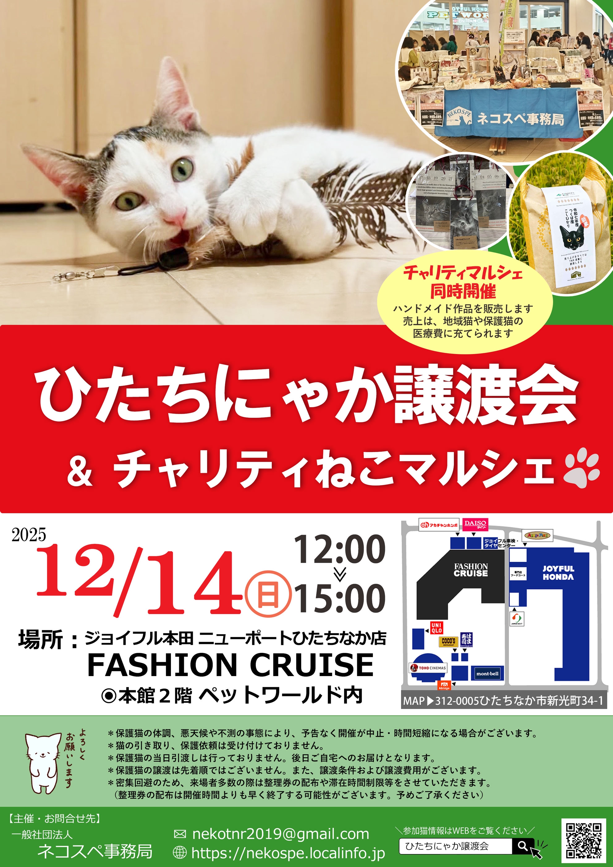 ひたちにゃか譲渡会 | ネコスペ事務局