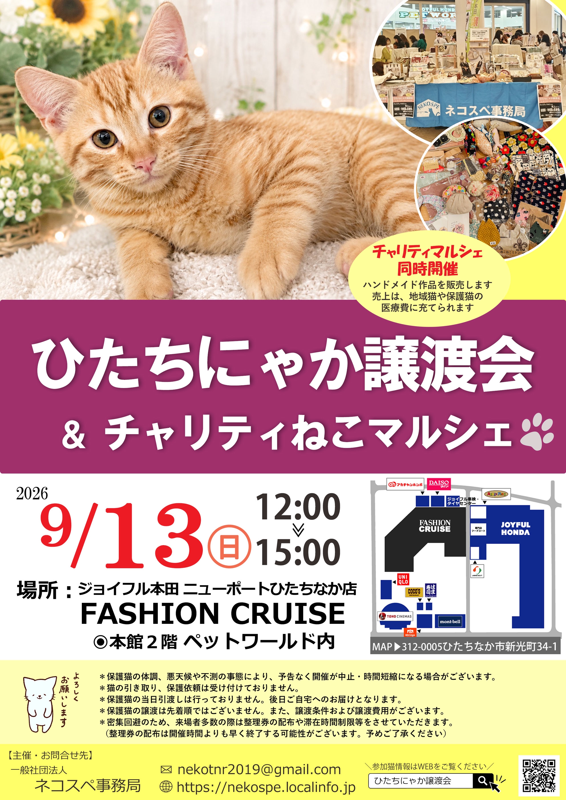 ひたちにゃか譲渡会 | ネコスペ事務局