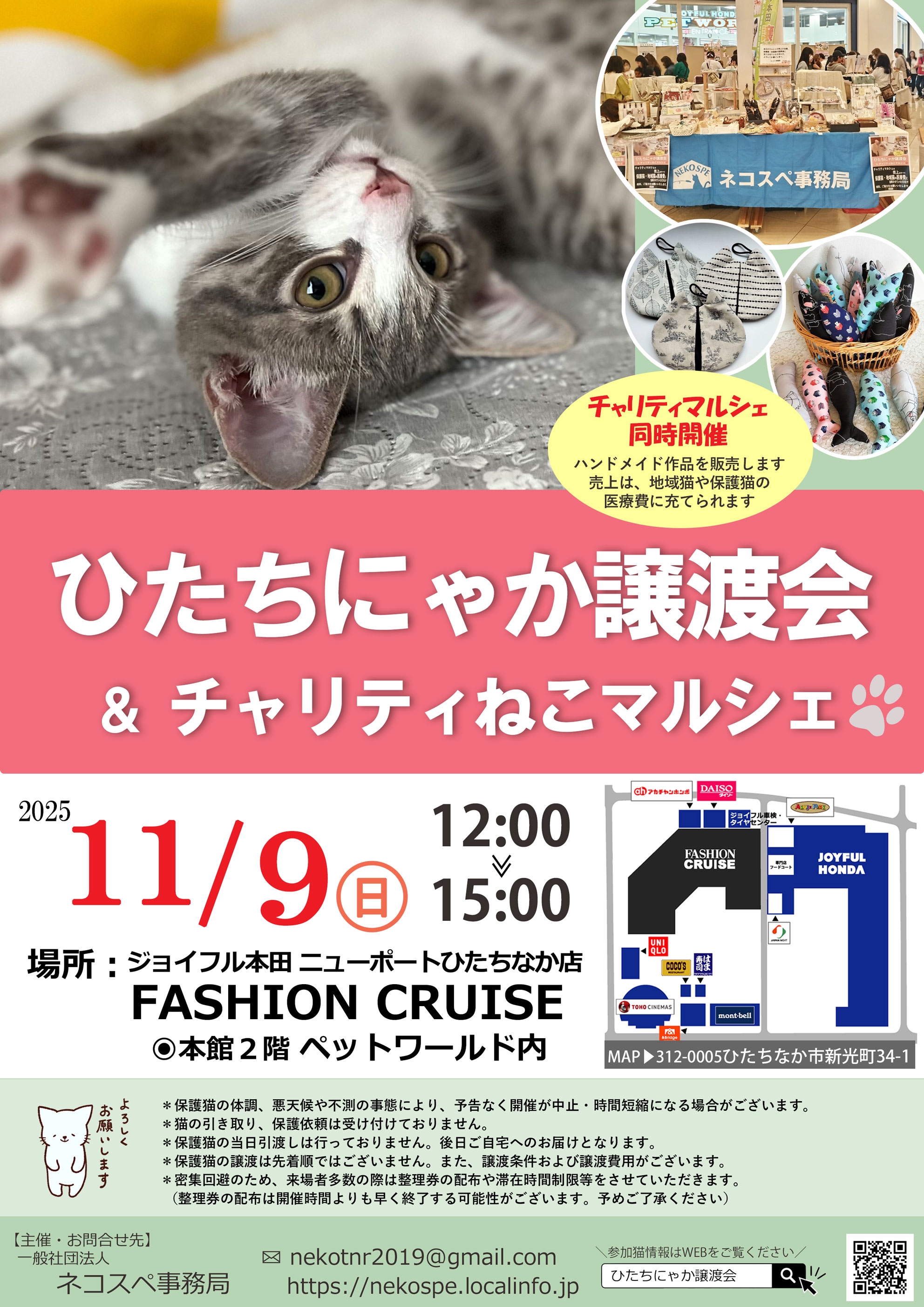 ひたちにゃか譲渡会 | ネコスペ事務局