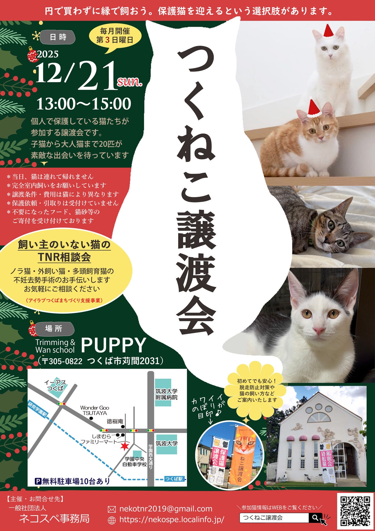 関東猫商会‼️ ネコスペ事務局